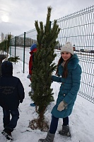 Акция "Посади именное дерево"